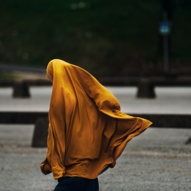Photo by Janko Ferlic on Canva Photo by Janko Ferlic on Canva